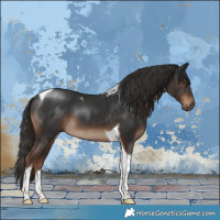 Horse Color:Liver Chestnut Tobiano 