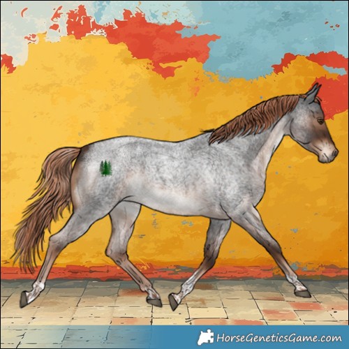 Horse Color:Liver Red Roan Tobiano 