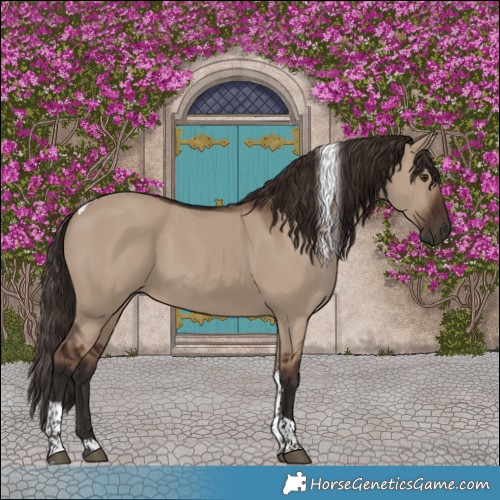 Horse Color:Liver Red Dun Tobiano 