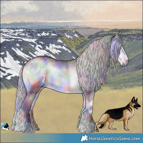 Horse Color:Nacre Chocolate Silver Smoky Blue Onyx Chinchilla
