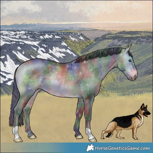 Horse Color:Nacre Bay Chinchilla Rabicano 