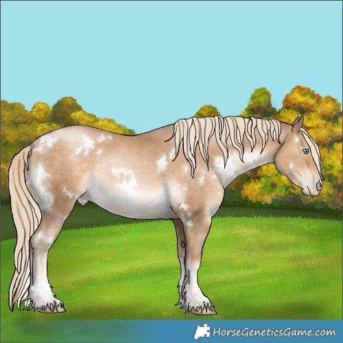 Horse Color:White Spotted Chocolate Palomino Pearl Tobiano 