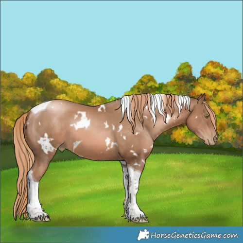Horse Color:White Spotted Liver Chestnut Pearl Tobiano 