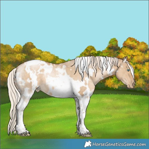Horse Color:White Spotted Chocolate Palomino Pearl Dun Tobiano 