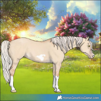 Horse Color:Silver Classic Champagne Dun Splash Frame 