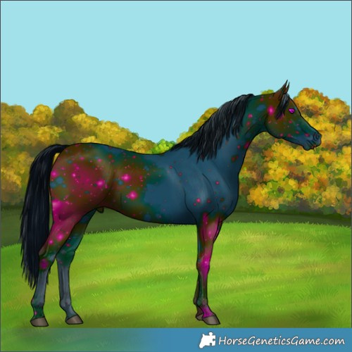Horse Color:ERROR: UNKNOWN ANOMALY