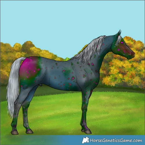 Horse Color:ERROR: UNKNOWN ANOMALY