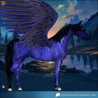 Horse Color:ERROR: UNKNOWN ANOMALY