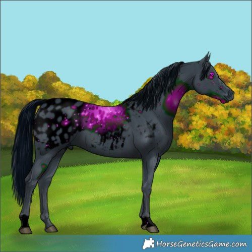 Horse Color:ERROR: UNKNOWN ANOMALY