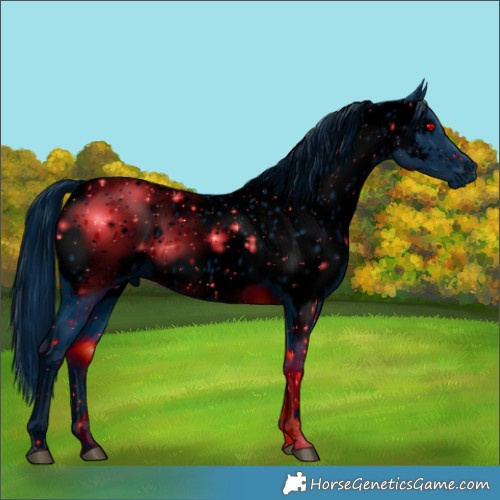 Horse Color:ERROR: UNKNOWN ANOMALY