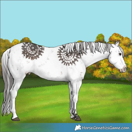 Horse Color:Platinum Liver Chestnut Sabino 