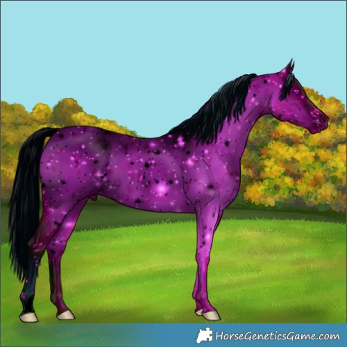 Horse Color:ERROR: UNKNOWN ANOMALY