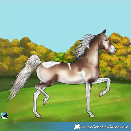 Horse Color:White Spotted Liver Red Onyx Mushroom Tobiano 