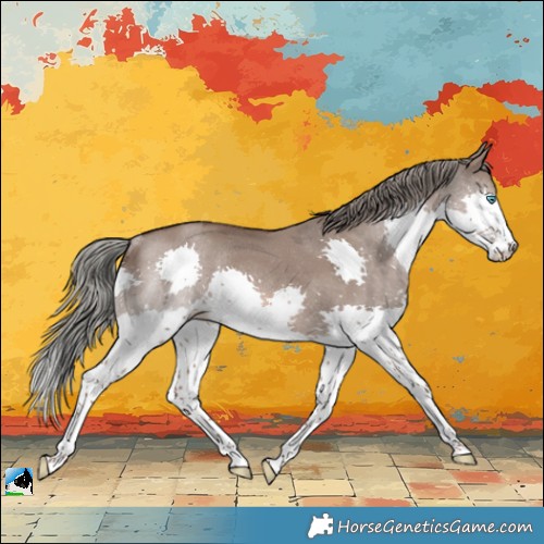Horse Color:Liver Red Dun Mushroom Splash Rabicano 