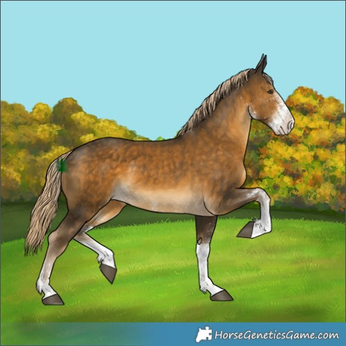 Horse Color:White Spotted Chocolate Palomino Mushroom Tobiano Rabicano