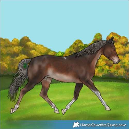 Horse Color:Liver Chestnut Mushroom Tobiano Rabicano 