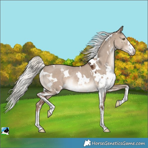 Horse Color:White Spotted Liver Red Dun Mushroom Rabicano 