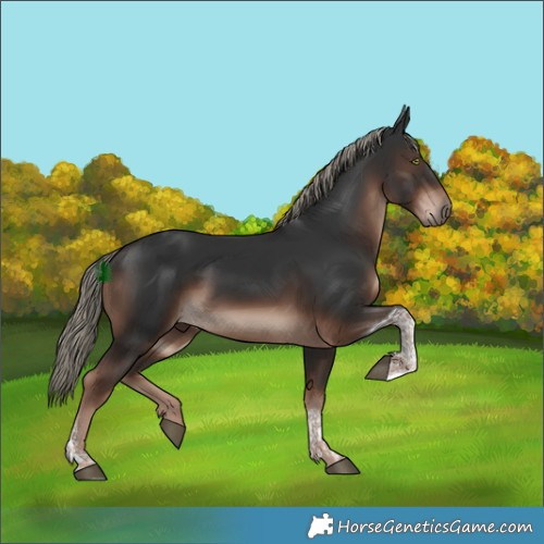 Horse Color:Liver Chestnut Mushroom Tobiano 