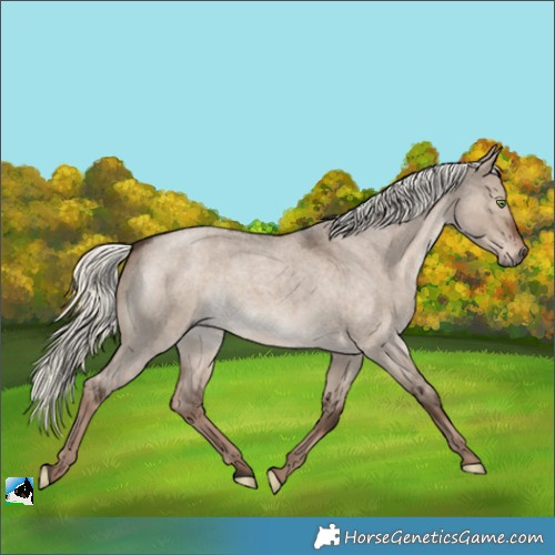 Horse Color:White Spotted Liver Red Dun Roan Mushroom 