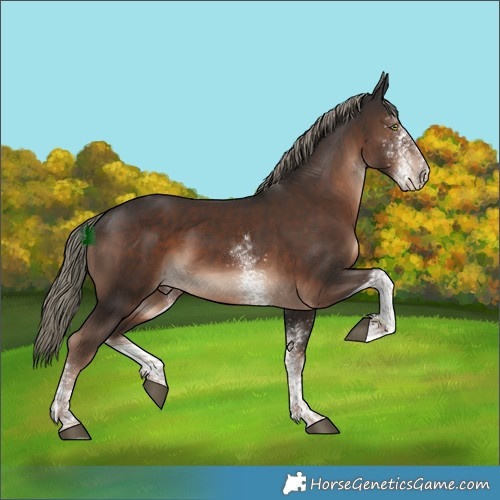 Horse Color:White Spotted Liver Chestnut Mushroom Tobiano 