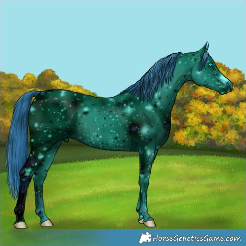 Horse Color:ERROR: UNKNOWN ANOMALY