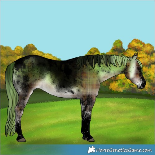 Horse Color:Void Plaid  White Spotted Liver Red Onyx Tobiano 