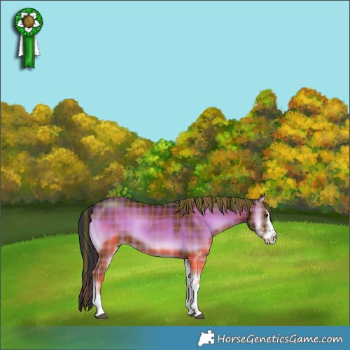 Horse Color:Plaid  White Spotted Liver Red Onyx 
