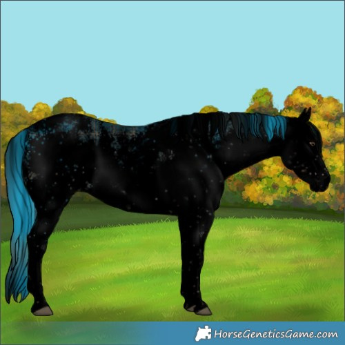 Horse Color:Void Plaid  White Spotted Liver Chestnut Sabino 