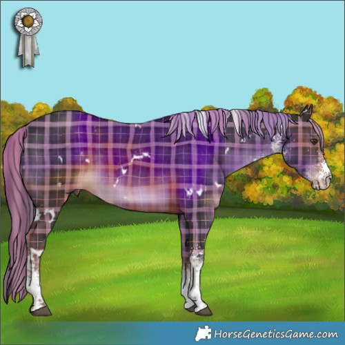 Horse Color:Plaid  White Spotted Liver Chestnut 