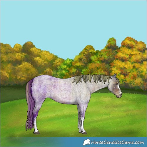 Horse Color:Plaid  White Spotted Liver Red Roan Mushroom 