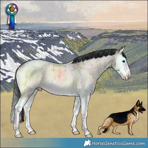 Horse Color:Brown Roan Onyx Splash Rabicano Brindle