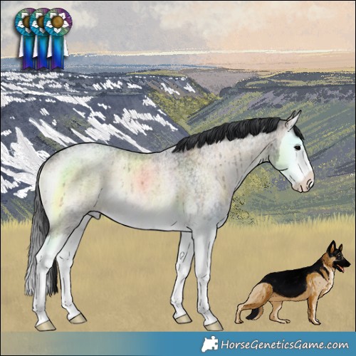 Horse Color:Brown Roan Onyx Splash Rabicano Brindle 