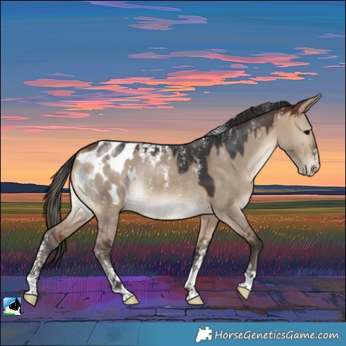Horse Color:Powder White Bay Dun Blanket 