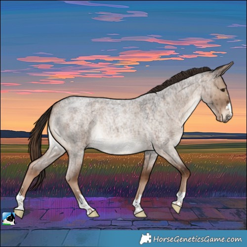 Horse Color:Liver Red Dun Roan Rabicano Brindle 