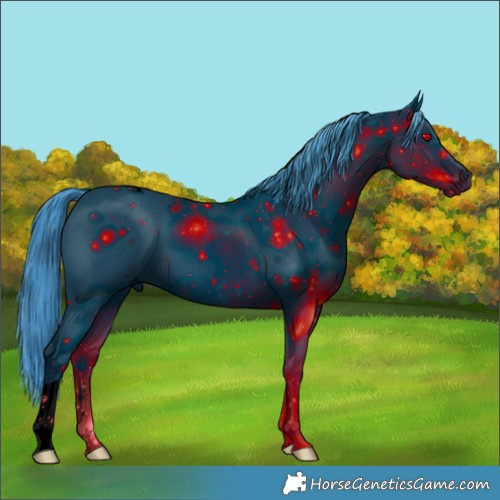Horse Color:ERROR: UNKNOWN ANOMALY