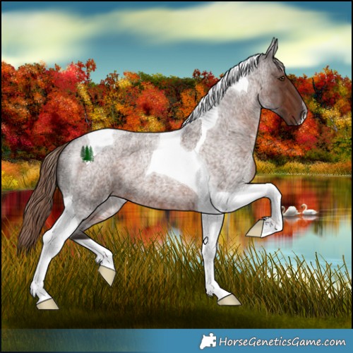 Horse Color:Liver Red Roan Tobiano 