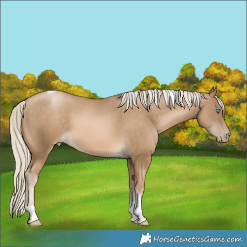Horse Color:Chocolate Palomino Pearl Mushroom Tobiano 