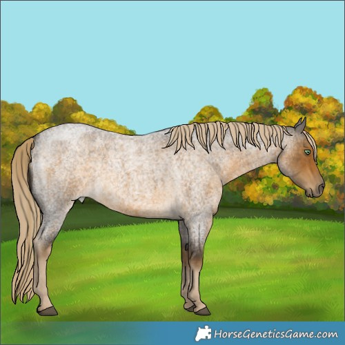 Horse Color:Chocolate Palomino Roan Mushroom 