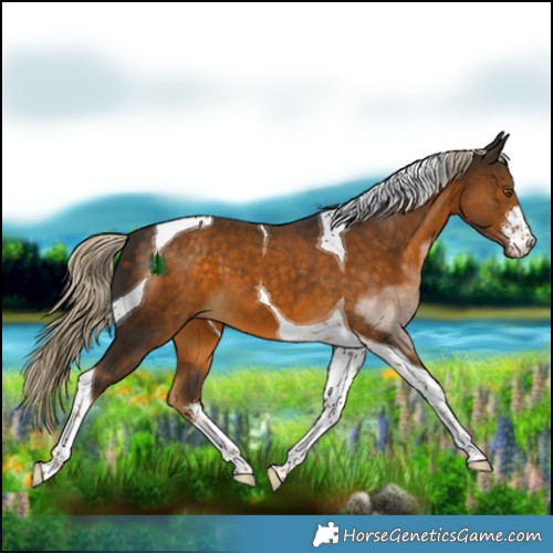 Horse Color:White Spotted Chocolate Palomino Tobiano