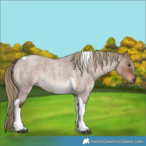 Horse Color:Liver Red Dun Roan Tobiano 