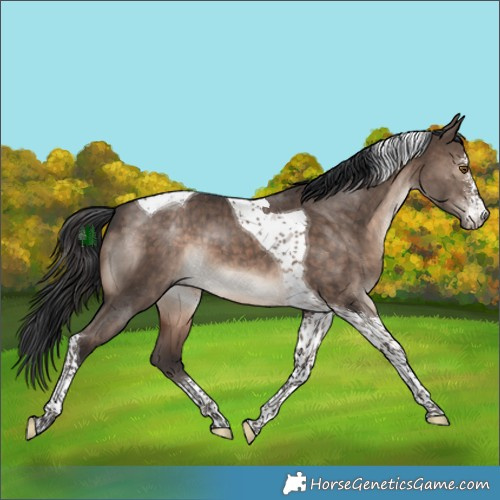 Horse Color:Brown Dun Mushroom Sabino Tobiano Brindle