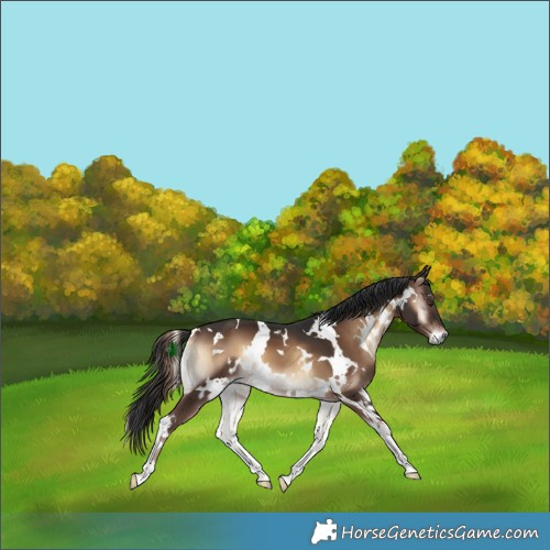 Horse Color:White Spotted Liver Red Onyx 