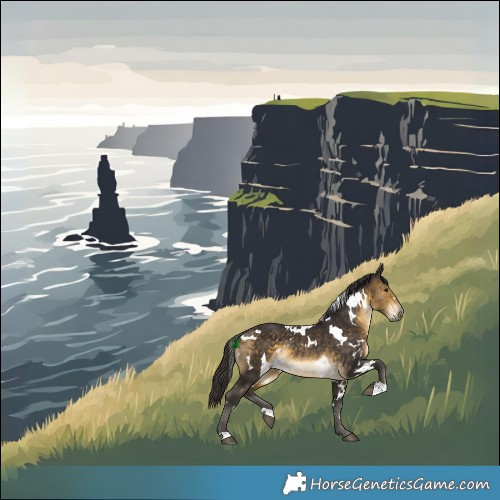 Horse Color:White Spotted Buckskin Rabicano 