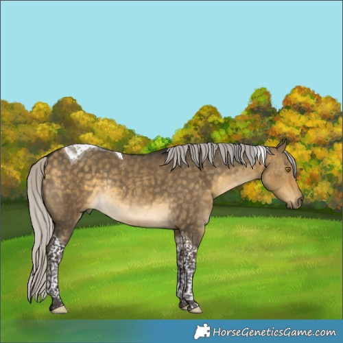 Horse Color:Silver Buckskin Dun Tobiano Rabicano 