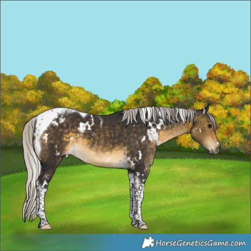 Horse Color:White Spotted Silver Buckskin Tobiano Rabicano 