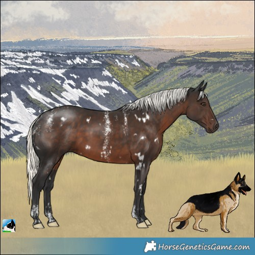 Horse Color:Powder White White Spotted Liver Chestnut Mushroom 