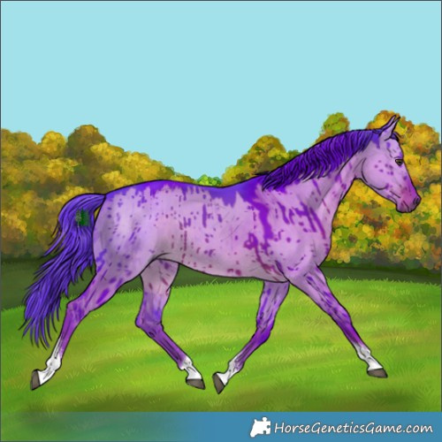 Horse Color:Watercolor Liver Red Dun Tobiano Rabicano Brindle 