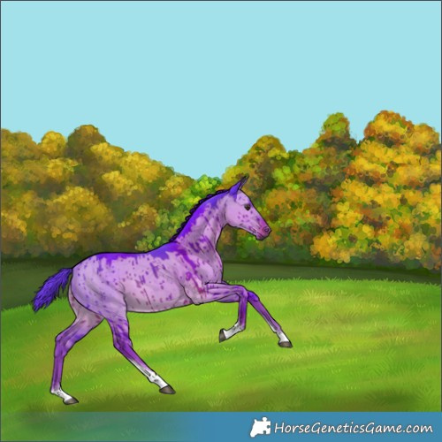 Horse Color:Watercolor Liver Red Dun Tobiano Rabicano Brindle 