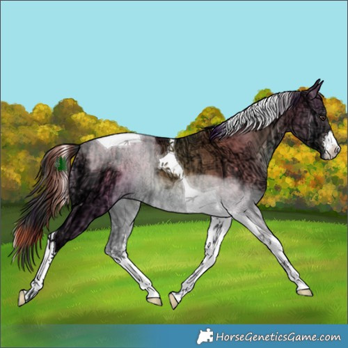 Horse Color:Plaid  White Spotted Liver Red Dun Ice Onyx Tobiano 