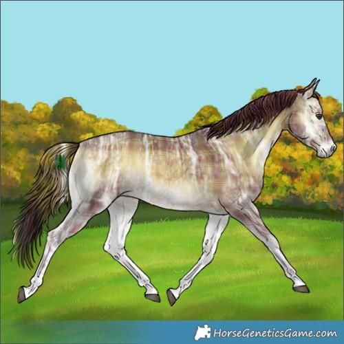 Horse Color:Plaid  Liver Red Onyx Ice Tobiano 